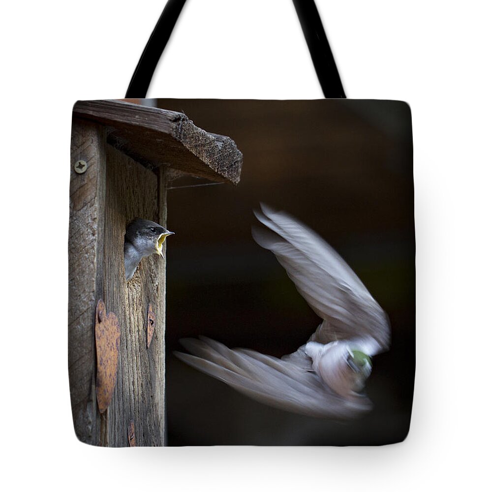 Home Tote Bag featuring the photograph Dont Leave by Jean Noren