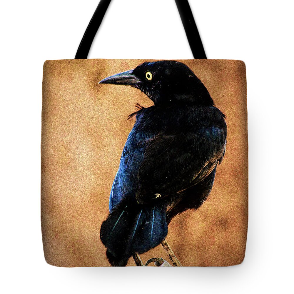  Tote Bag featuring the photograph Dont Stare Fine Art by Hugh Walker