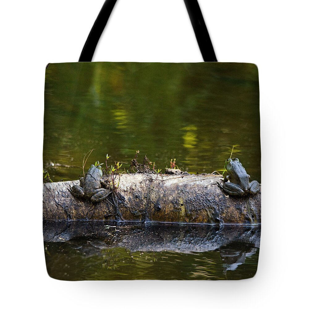 Frogs Tote Bag featuring the photograph Don't You Love Mornings Like This by Sue Capuano