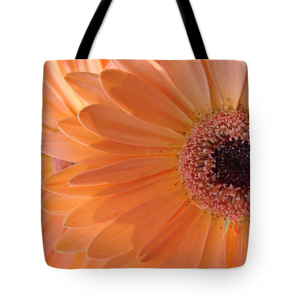 Floral Tote Bag featuring the photograph Double Delight by Mary Halpin