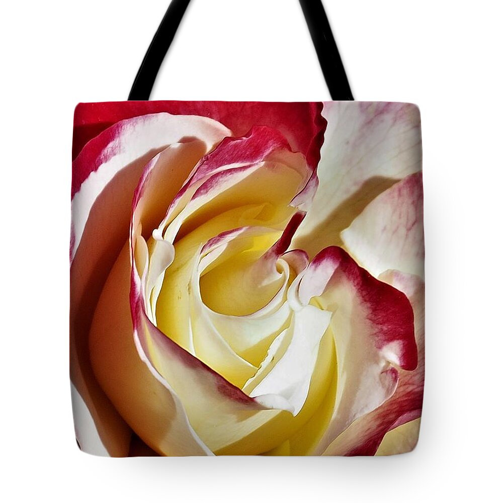 Rose Tote Bag featuring the photograph Double Delight Rose by Jerry Connally