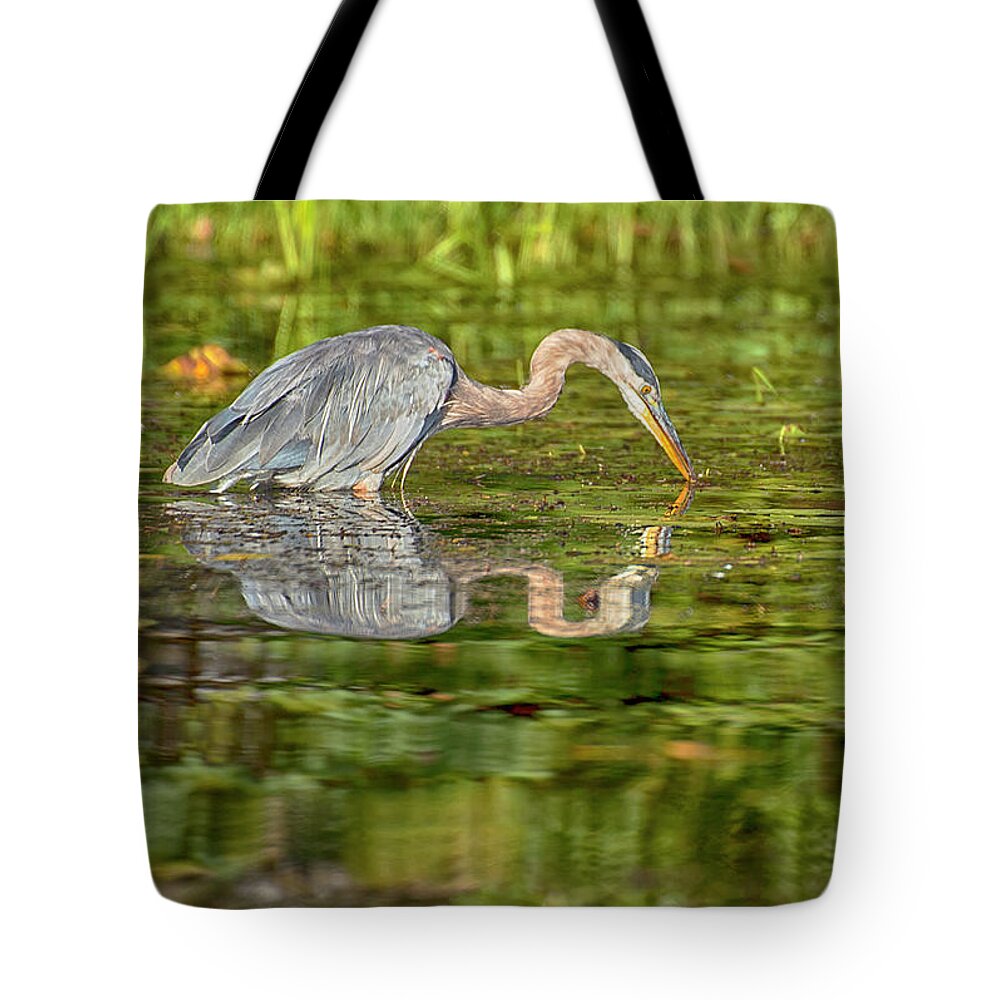 Bird Tote Bag featuring the photograph Double Down - Great Blue Heron - Ardea Herodias by Spencer Bush