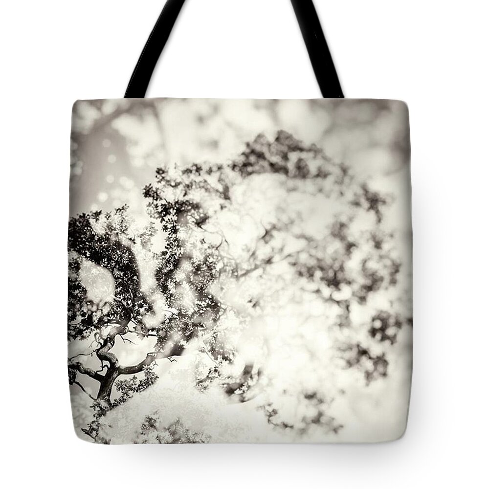 Bestoftheday Tote Bag featuring the photograph Double Exposure Tree Abstract That by John Williams