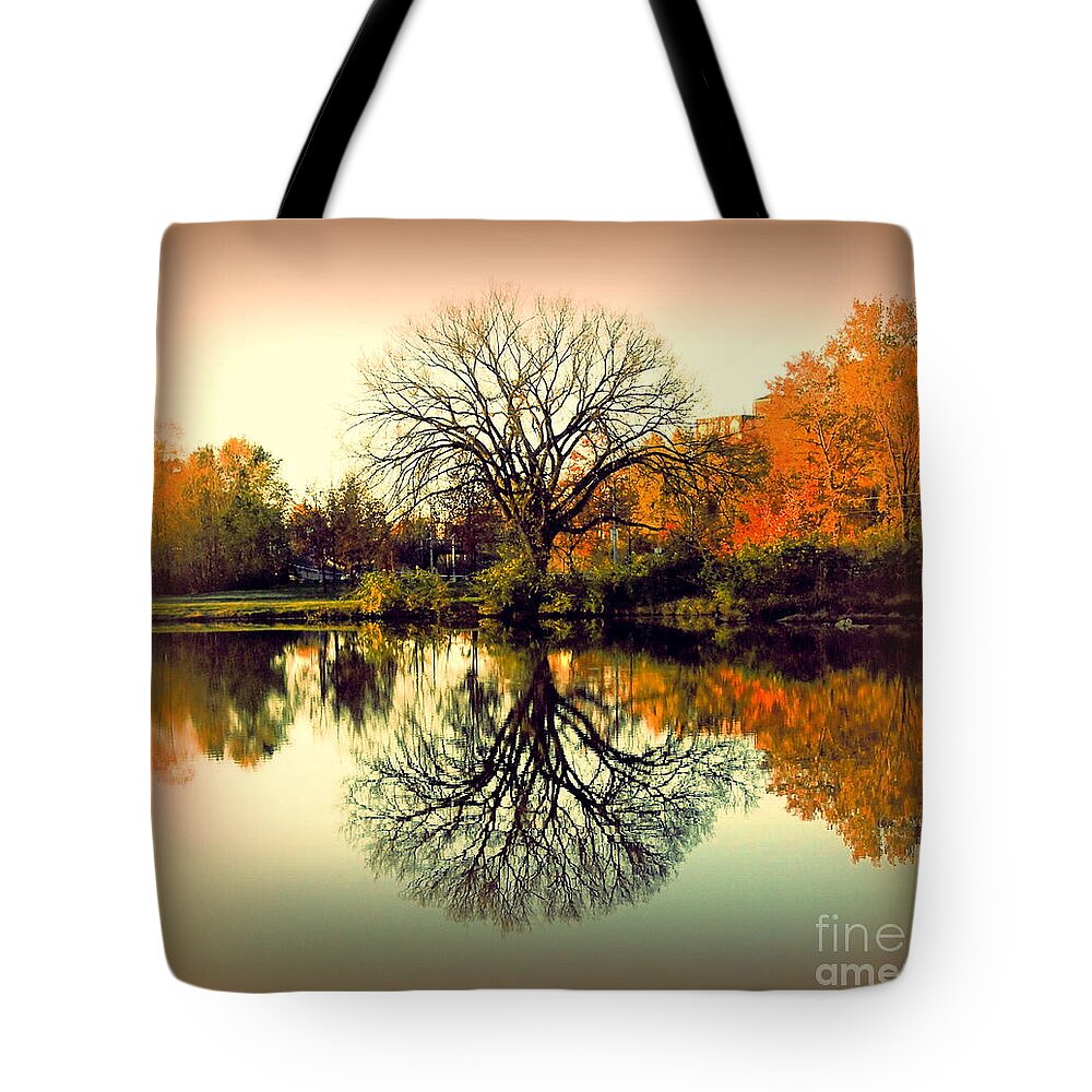 Photography Tote Bag featuring the photograph Double Take by Nancy Kane Chapman