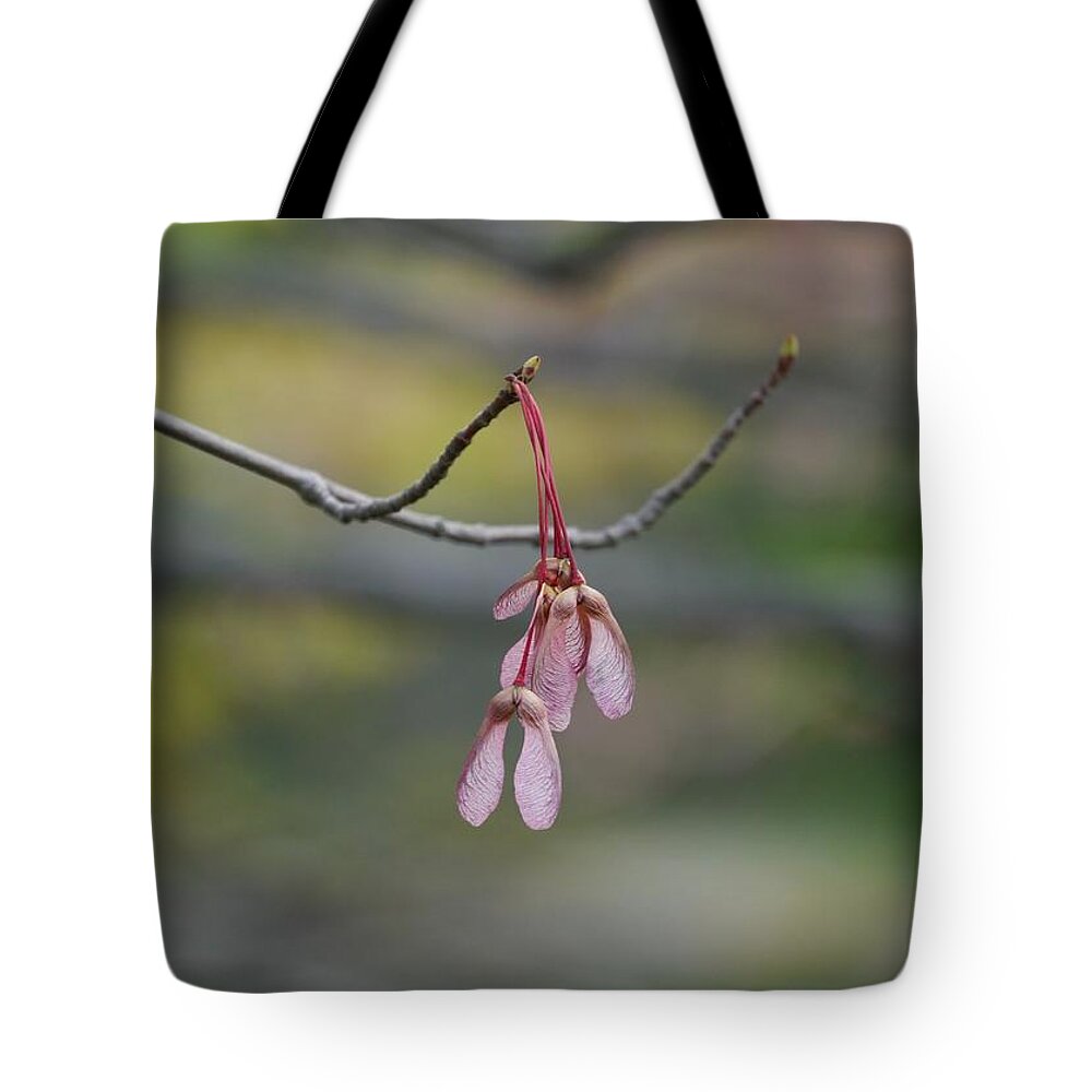 Samara Tote Bag featuring the photograph Double-Winged Samara by Jane Ford