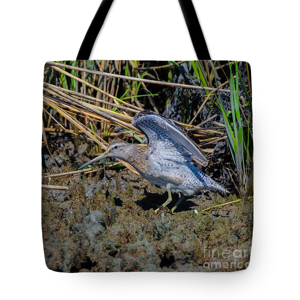 Bird Tote Bag featuring the photograph Dowitcher Stuck in the Mud by Jeff at JSJ Photography