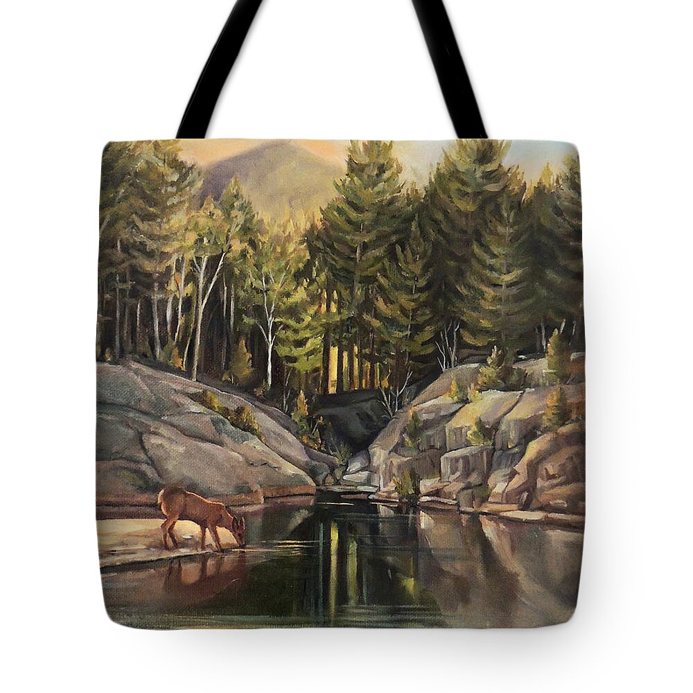 Pemigewasset River Tote Bag featuring the painting Down by the Pemigewasset River by Nancy Griswold