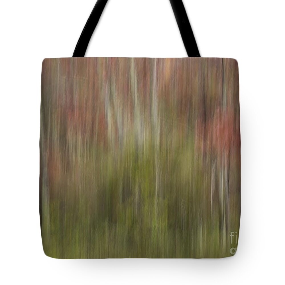 Vertical Pan Tote Bag featuring the photograph Down by the River II by Lili Feinstein