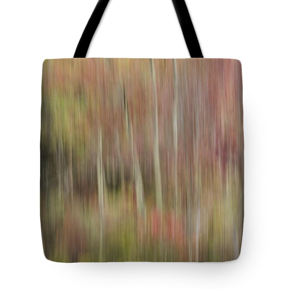 Vertical Pan Tote Bag featuring the photograph Down by the River by Lili Feinstein