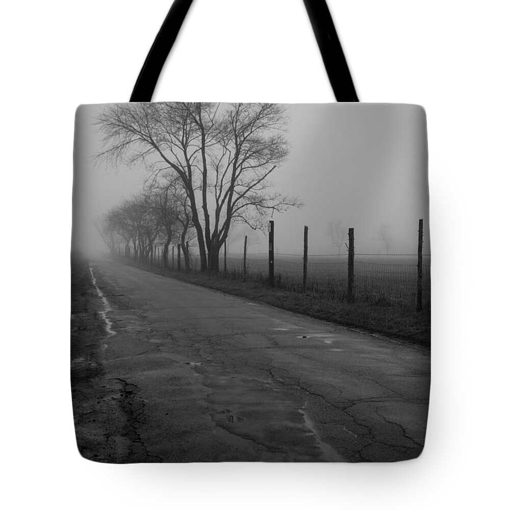 Andrew Pacheco Tote Bag featuring the photograph Down to the Marsh by Andrew Pacheco