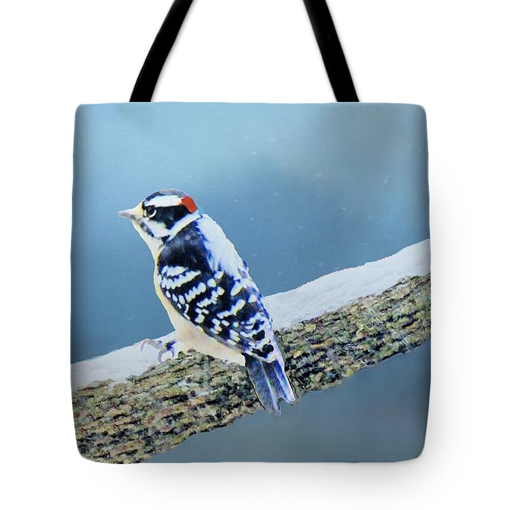 Woodpecker Tote Bag featuring the photograph Downy Woodpecker by Janette Boyd