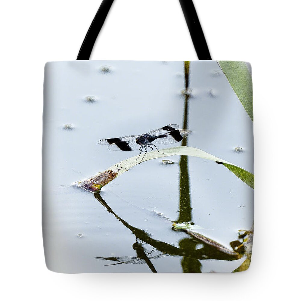 Insects Tote Bag featuring the photograph Dragon fly by Patrick Kain
