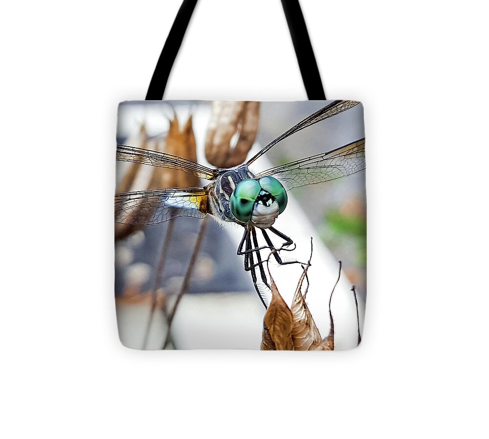 Insect; Dragonfly; Blue; Green; Nature; Insect; Wildlife; Blue Dasher; Pachydiplax Longipennis; Columbine Tote Bag featuring the photograph Dragon On Columbine by Lara Ellis