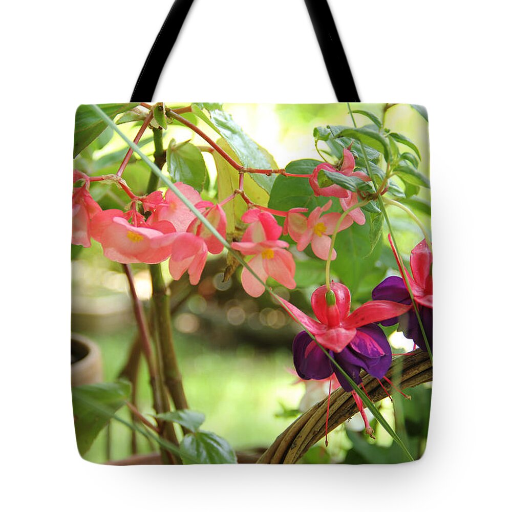 Flower Tote Bag featuring the photograph Dragon Winged Begonia with Fuchsia by Allen Nice-Webb