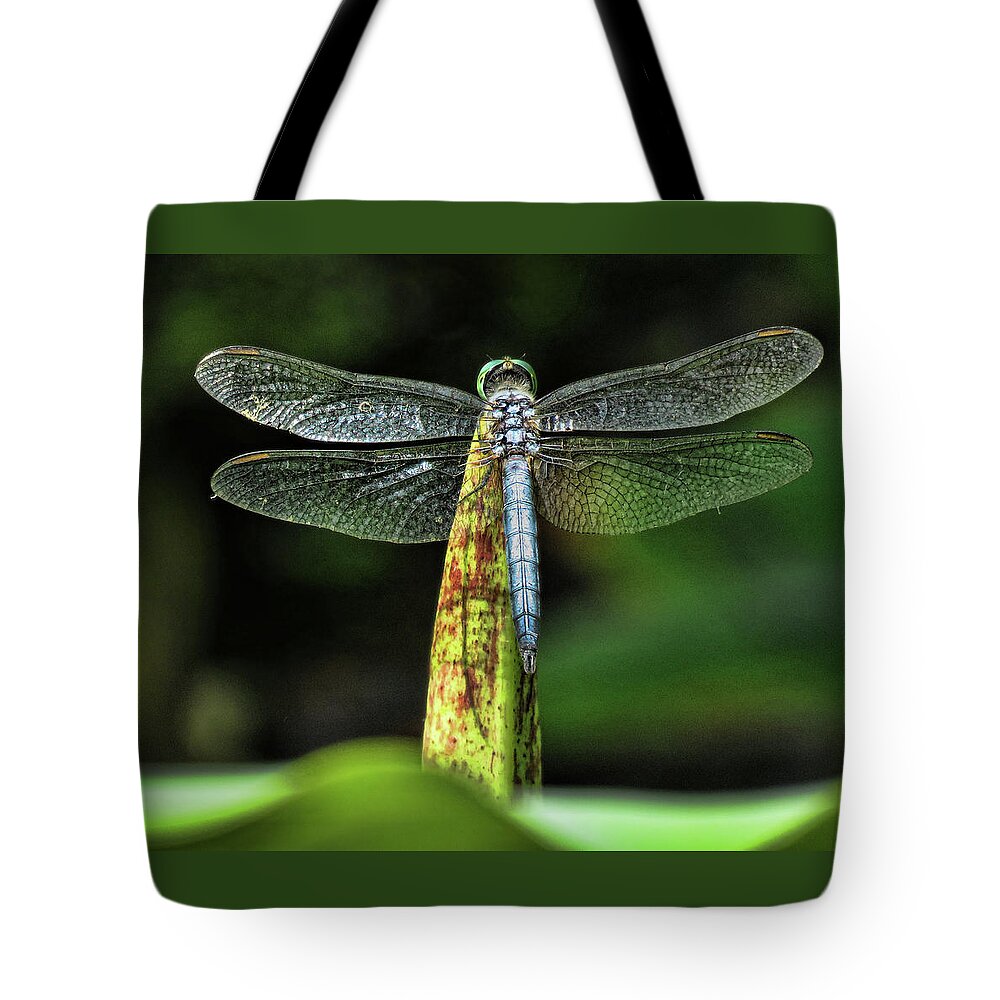 Dragonfly Tote Bag featuring the photograph Dragonfly 1 by Helaine Cummins