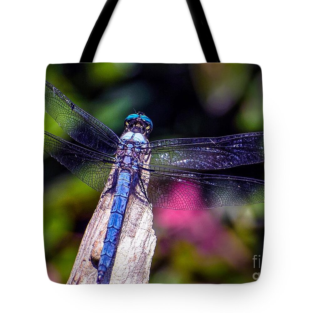 Nature Tote Bag featuring the photograph Dragonfly by DB Hayes