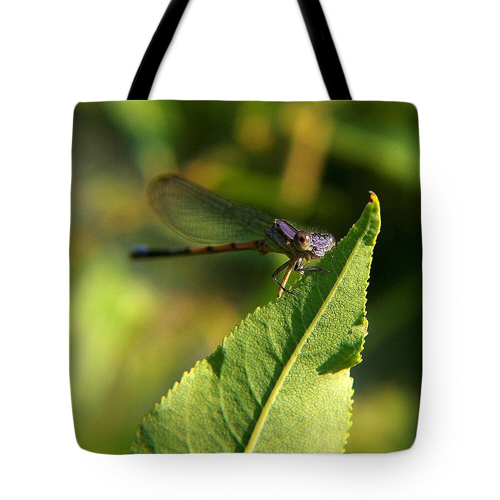 Digital Art Tote Bag featuring the photograph Dragonfly Called Funny Face by Belinda Cox