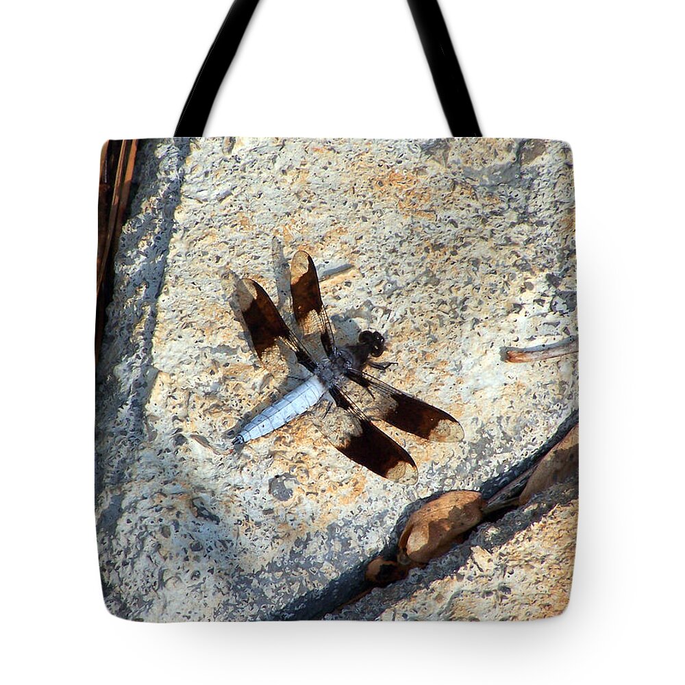Insects Tote Bag featuring the photograph Dragonfly Display by Jennifer Robin