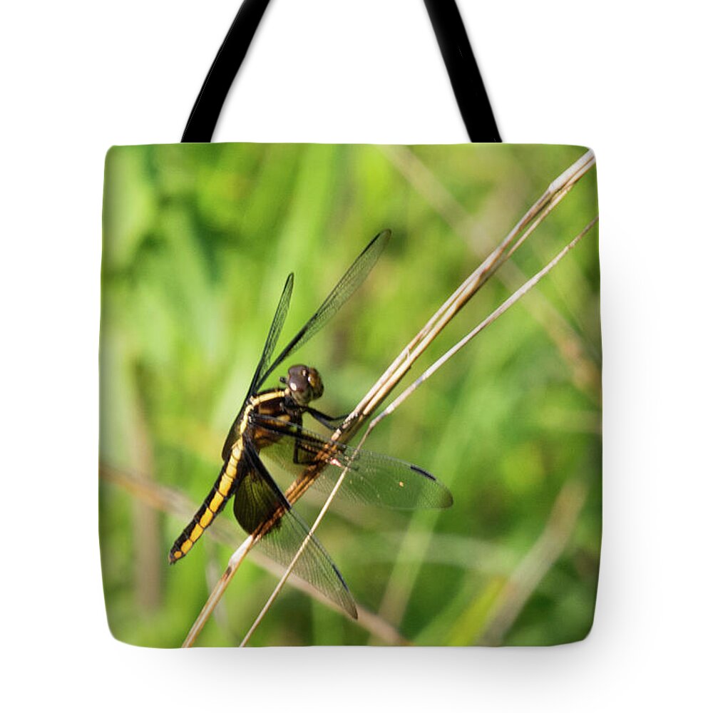 Dragonfly Tote Bag featuring the photograph Dragonfly by John Benedict