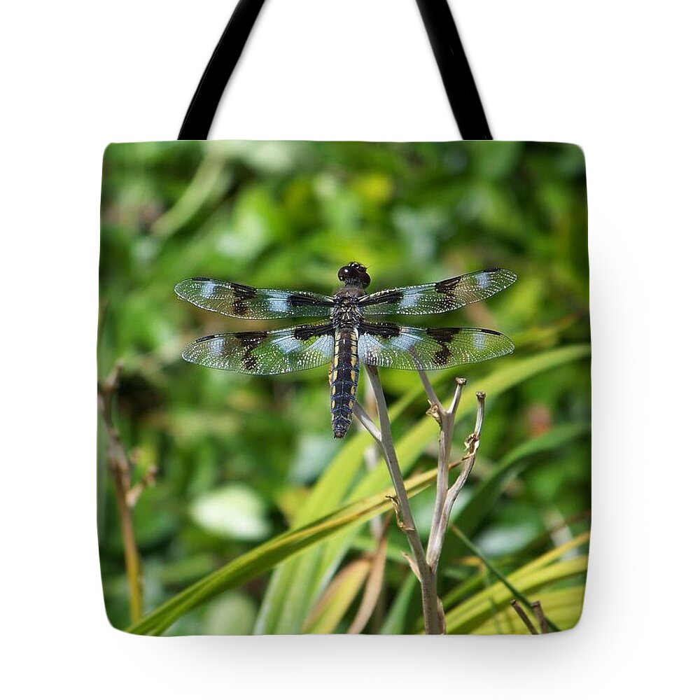 Dragonfly Tote Bag featuring the photograph Dragonfly by Julie Rauscher