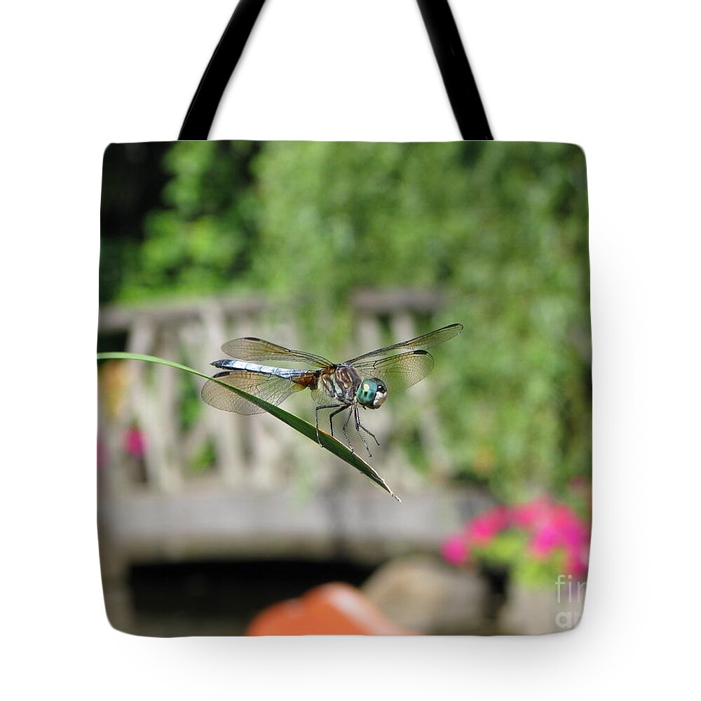 Dragonfly Tote Bag featuring the photograph Dragonfly by Michael Krek