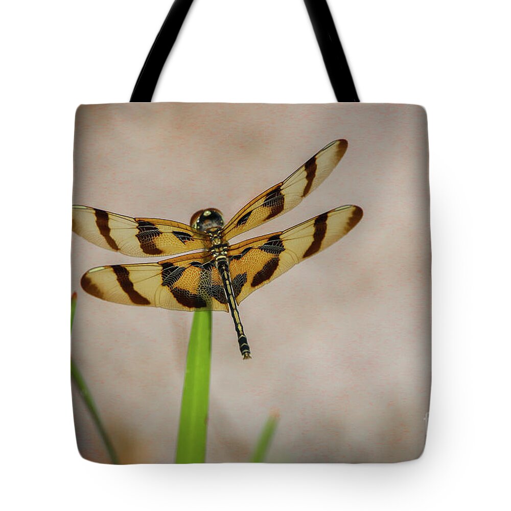 Dragonfly Tote Bag featuring the photograph Dragonfly on Grass by Tom Claud