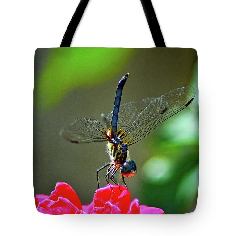 Nature Tote Bag featuring the photograph Dragonfly On Rose by DB Hayes