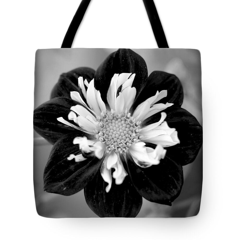 Flower Tote Bag featuring the photograph Drama Queen by Corinne Rhode