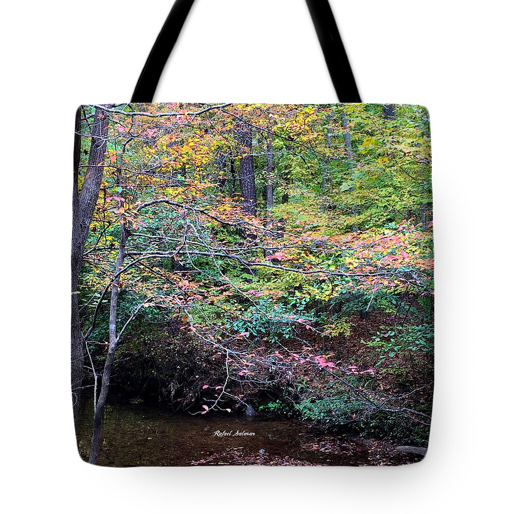 Woods Tote Bag featuring the photograph Dream Woods in Georgia by Rafael Salazar