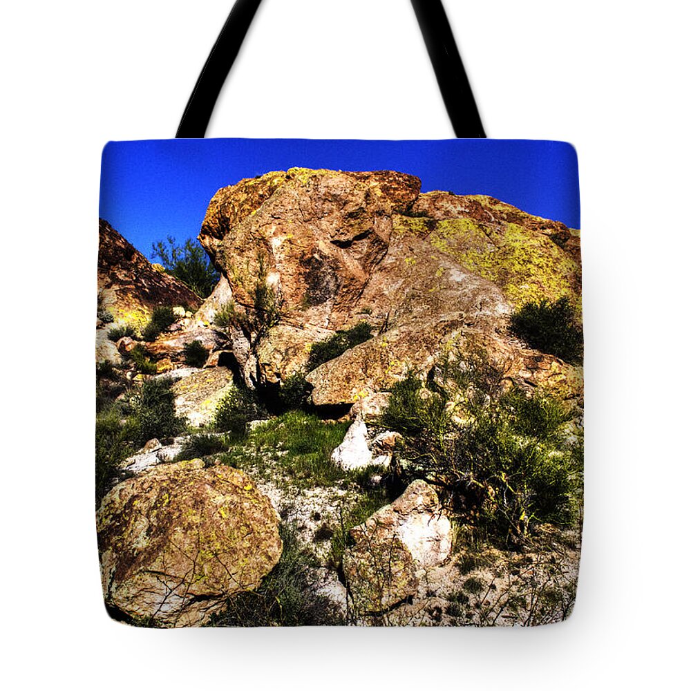 Arizona Tote Bag featuring the photograph Dreaming of Cowboys and Outlaws by Roger Passman