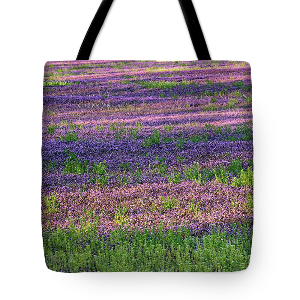 Spring Tote Bag featuring the photograph Dreaming of France by Holly Ross