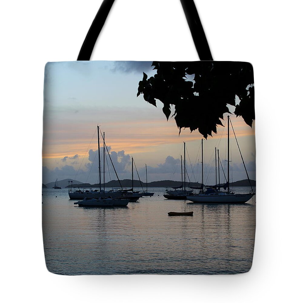 St John Tote Bag featuring the photograph Dreams Do Come True by Fiona Kennard
