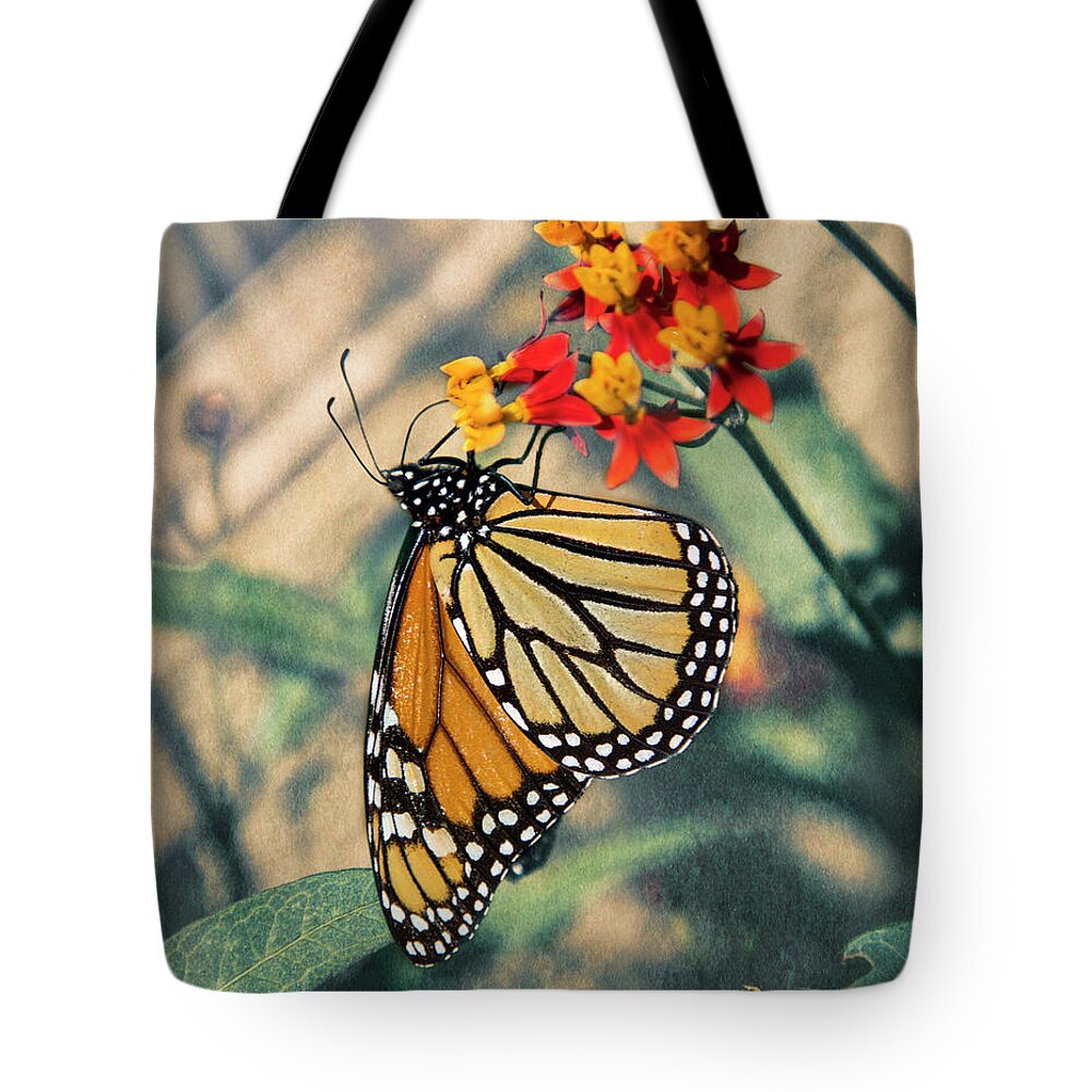 Mariola Tote Bag featuring the photograph Dreamy Butterfly by Mariola Bitner