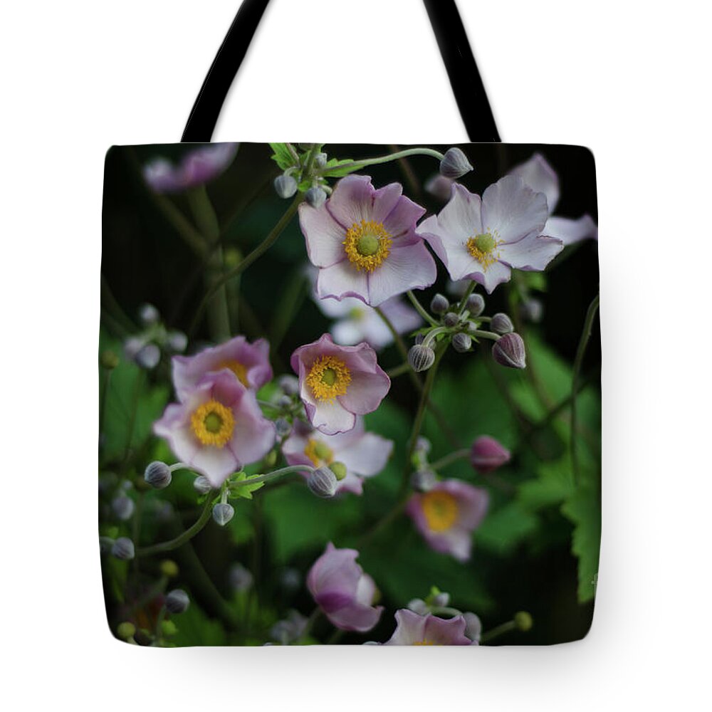 Dreamy Tote Bag featuring the photograph Dreamy Japanese Anemone by Perry Rodriguez