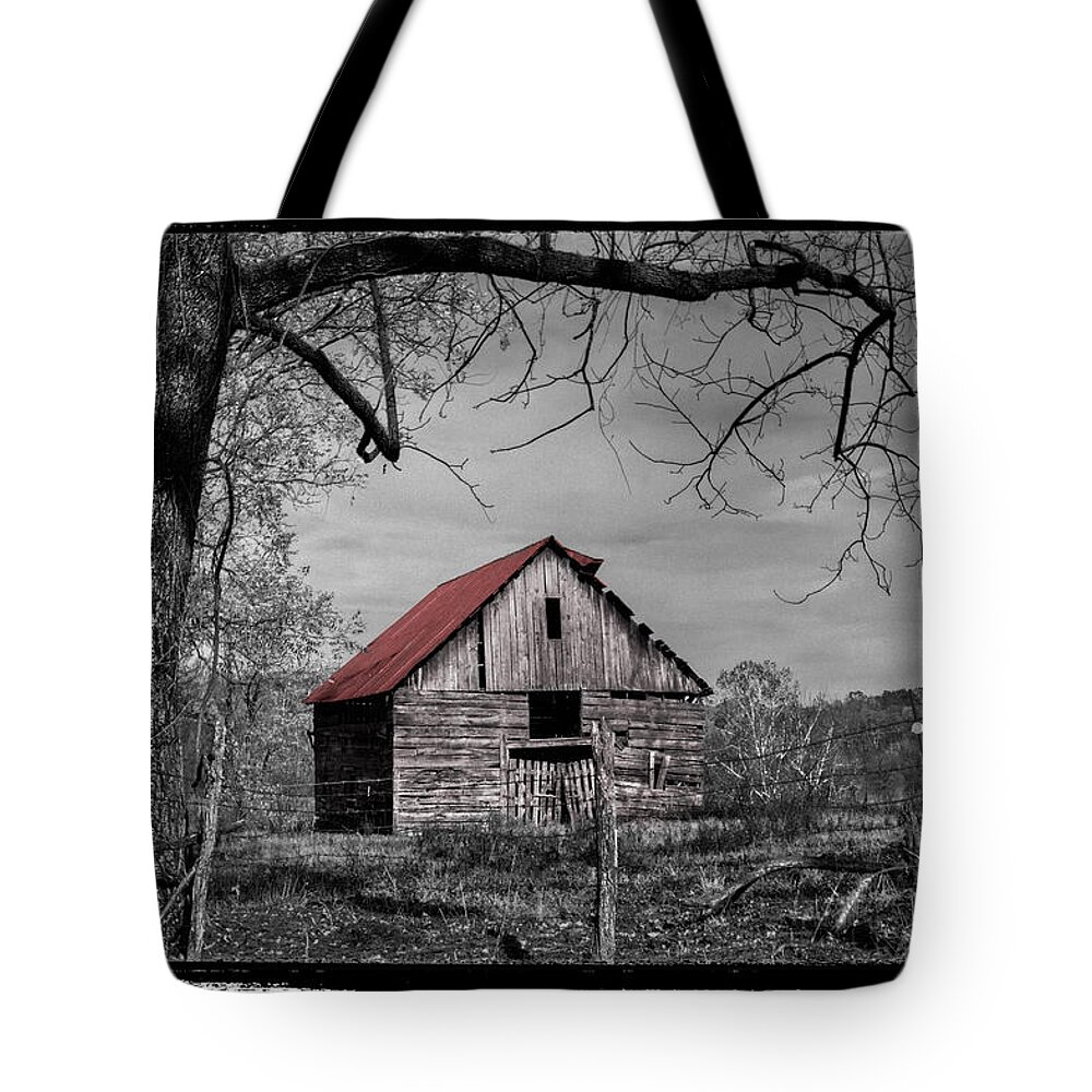 Andrews Tote Bag featuring the photograph Dressed In Red by Debra and Dave Vanderlaan