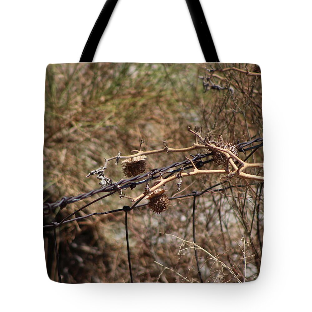 Golden Tote Bag featuring the photograph Dried Thistles In Front of Barbed Wire by Colleen Cornelius