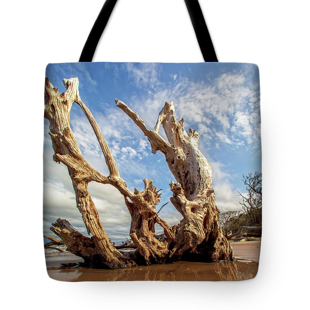 Spanish Tote Bag featuring the photograph Drift by Robert Och