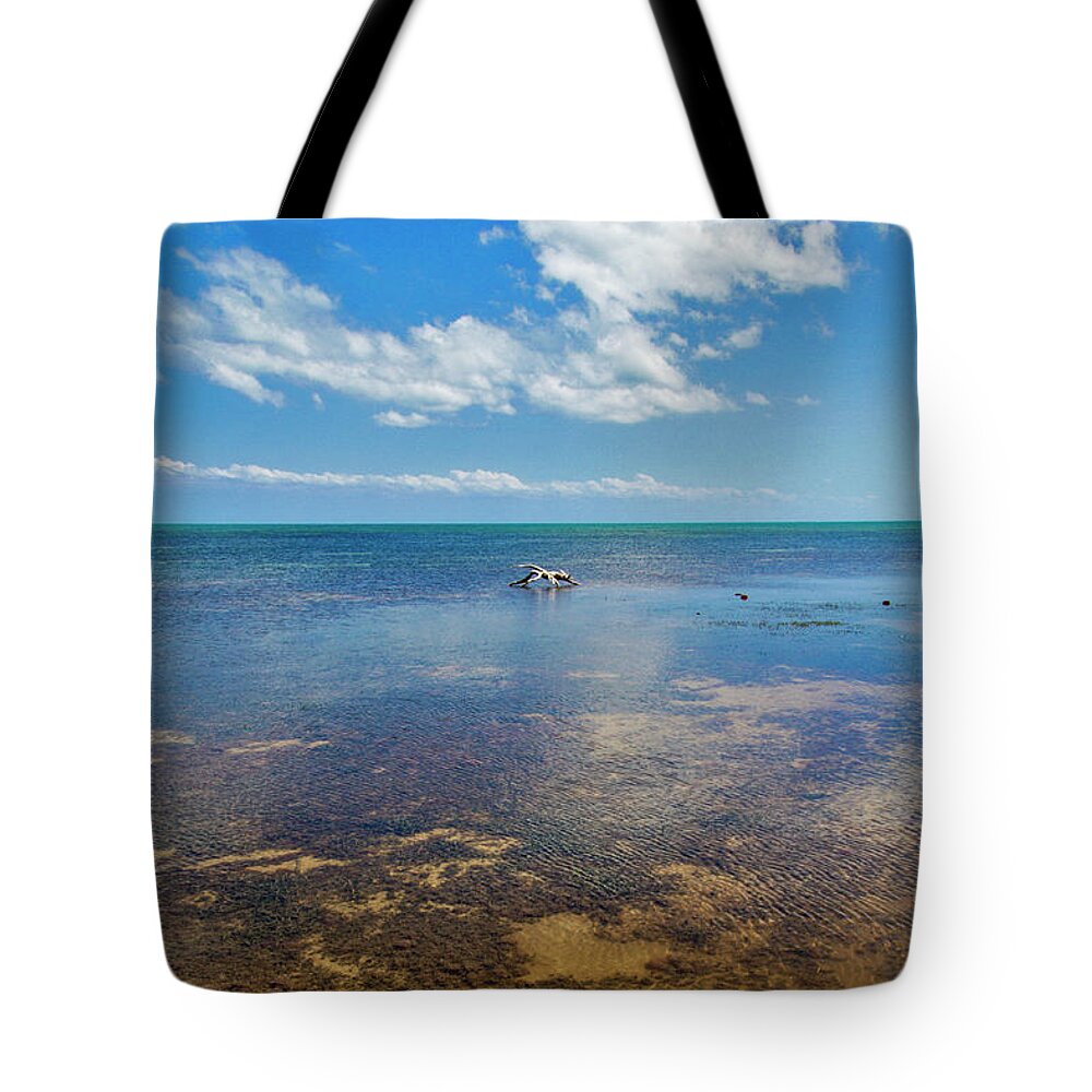 Blue Tote Bag featuring the photograph Driftwood at Low Tide in Key West by Bob Slitzan