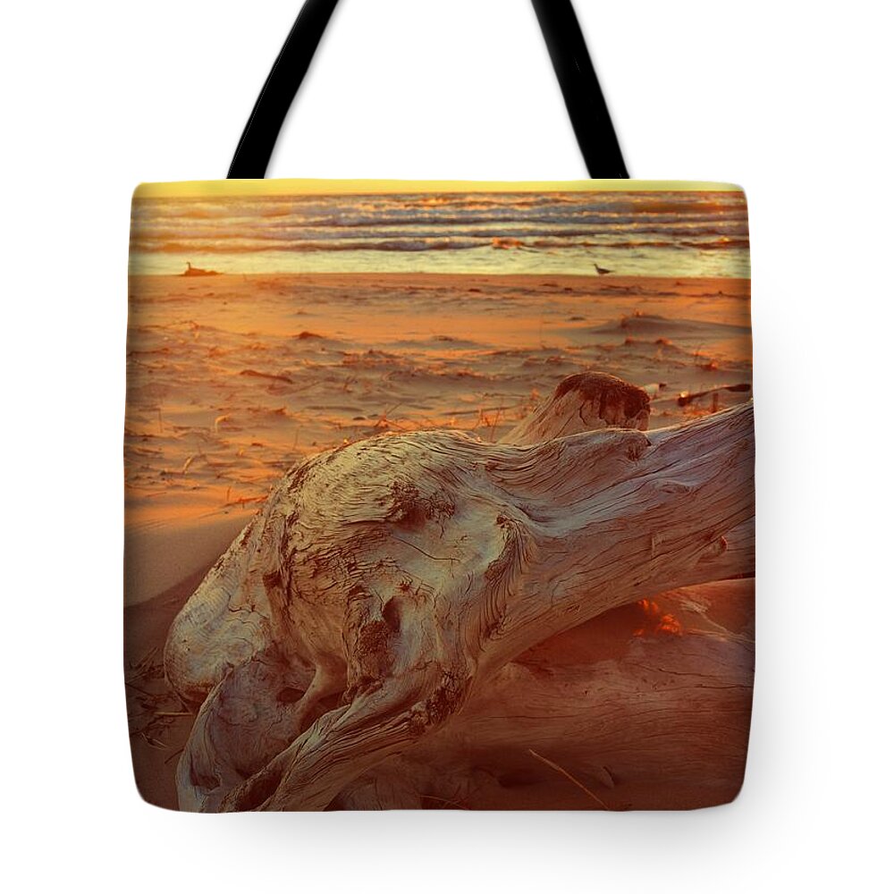 Sunset Tote Bag featuring the photograph Driftwood at Sunset by Michelle Calkins