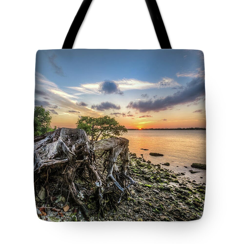 Clouds Tote Bag featuring the photograph Driftwood at the Edge by Debra and Dave Vanderlaan