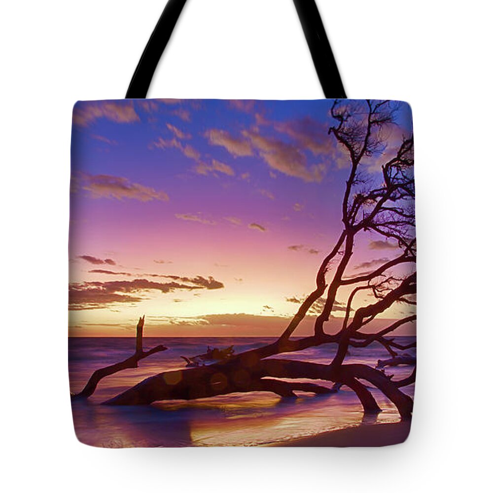 Landscape Tote Bag featuring the photograph Driftwood Beach 1 by Dillon Kalkhurst