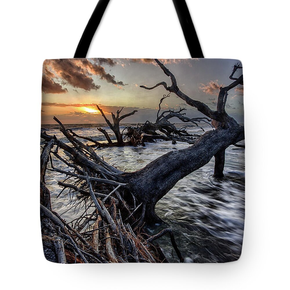 Landscape Tote Bag featuring the photograph Driftwood Beach 5 by Dillon Kalkhurst