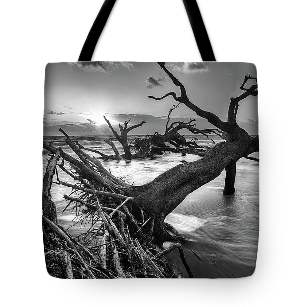 Landscape Tote Bag featuring the photograph Driftwood Beach 8 by Dillon Kalkhurst