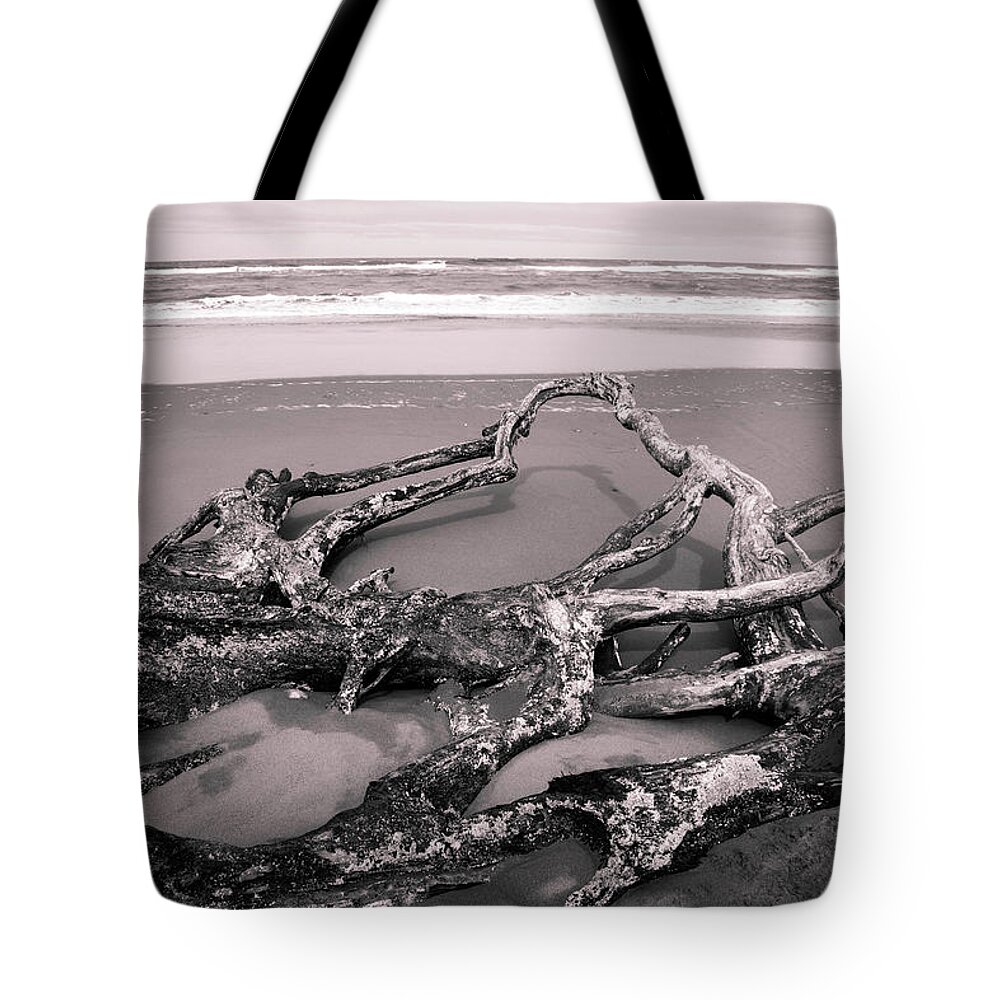 Driftwood Tote Bag featuring the photograph Driftwood by Dr Janine Williams