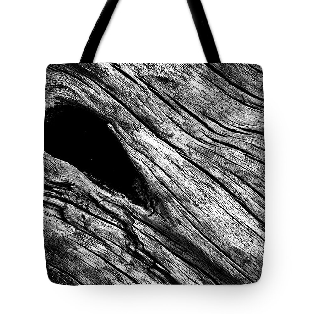 Driftwood Tote Bag featuring the photograph Driftwood by Stuart Litoff