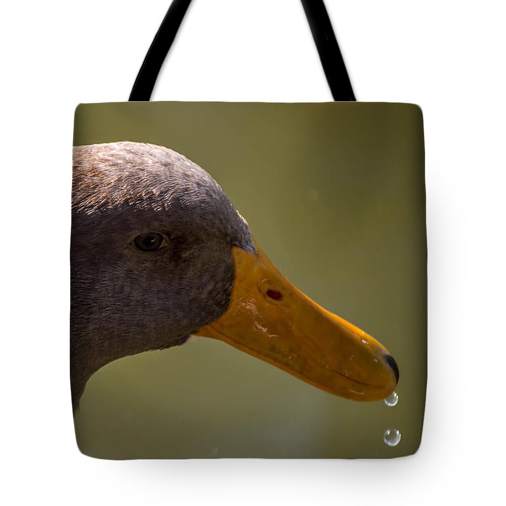 Duck Tote Bag featuring the photograph Drip Drip by Leticia Latocki