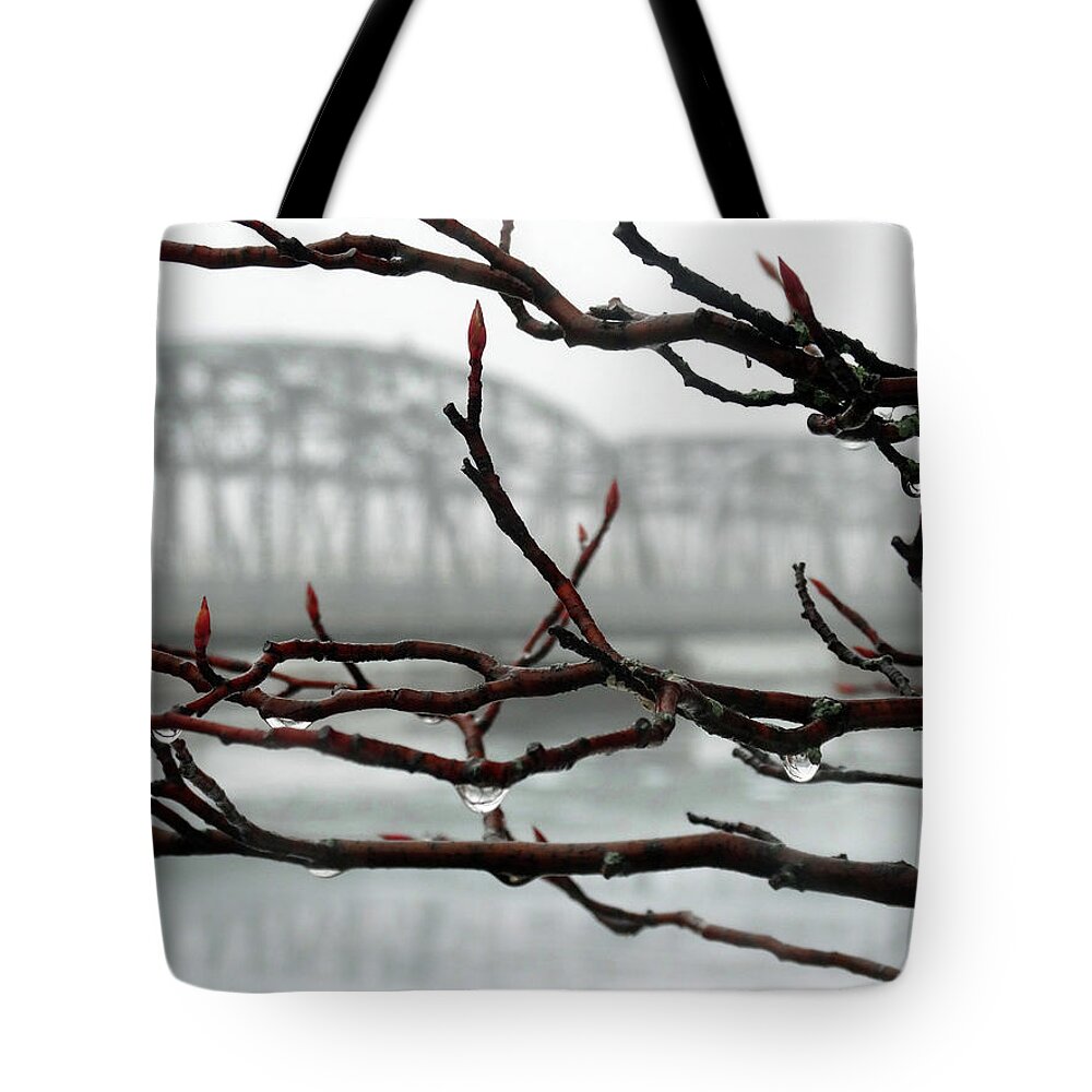 Foggy Tote Bag featuring the photograph Dripping Fog by David T Wilkinson
