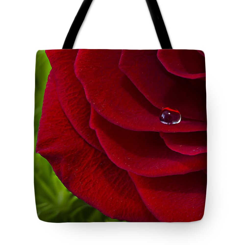 Wall Art Tote Bag featuring the photograph Drop on a Rose by Marlo Horne