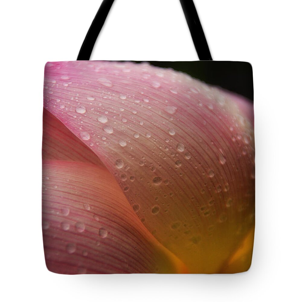 Bees Tote Bag featuring the photograph Droplets II by Kathi Isserman