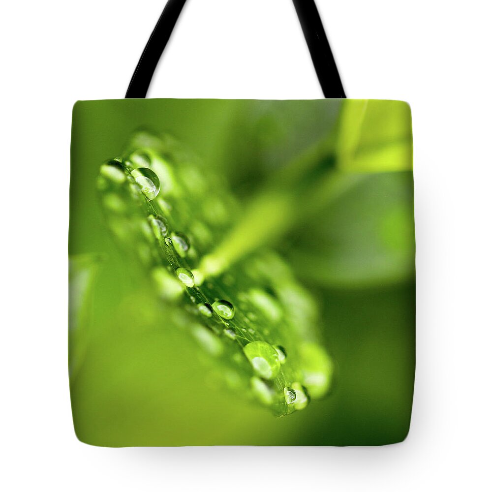 Raindrops Tote Bag featuring the photograph Droplets by Mary Anne Delgado